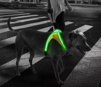 safety Doggie Collars image 1